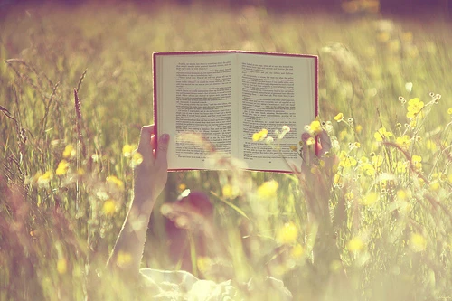 girl lying in field reading a book